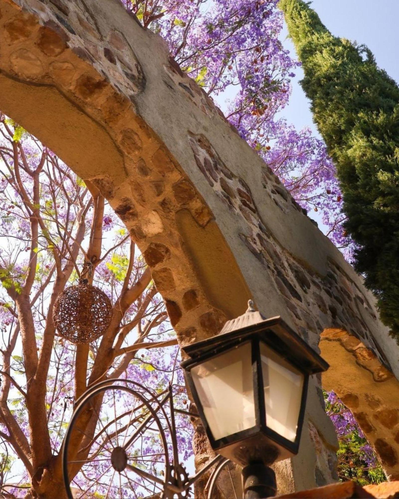 Suites Campestres Montebello 贝纳尔 外观 照片