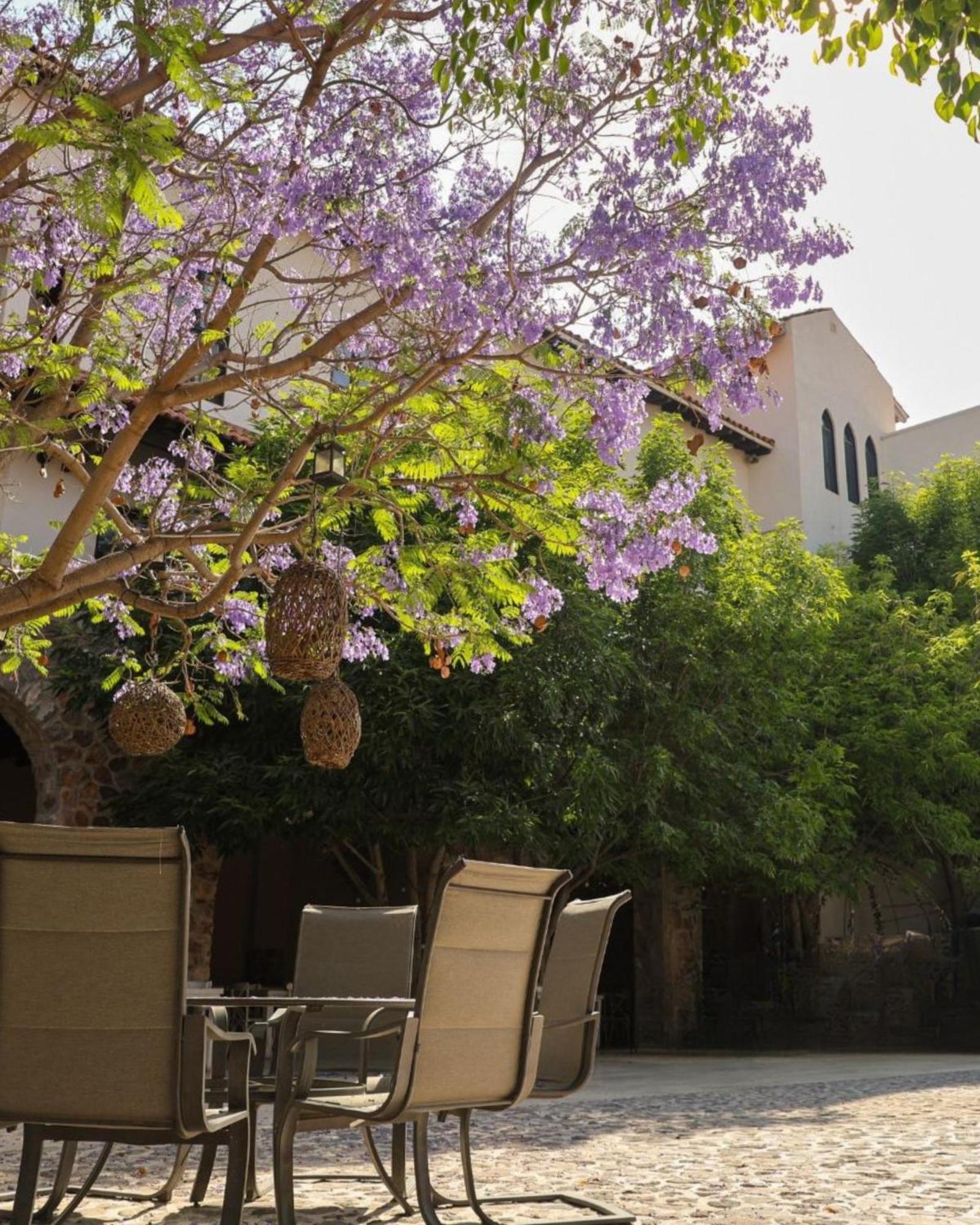 Suites Campestres Montebello 贝纳尔 外观 照片